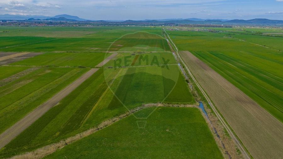 Teren agricol extravilan de 4000 mp, în Stupinii Prejmerului
