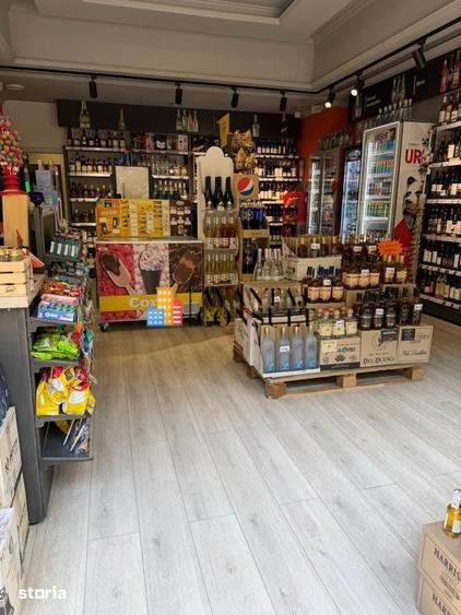 Inchirieri Spatii Comerciale Titulescu - 14