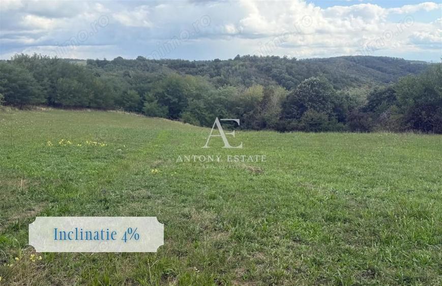 Teren de 5300 mp, în Uileacu de Criș