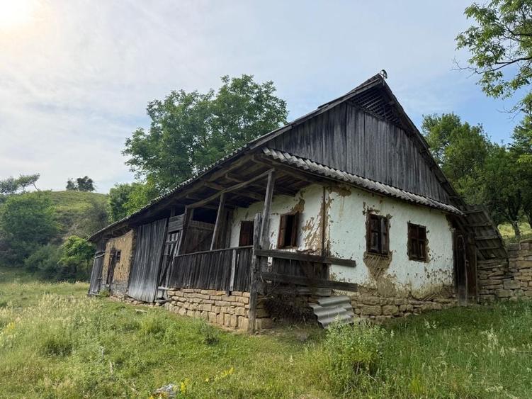 Spațiu comercial, în Nepos