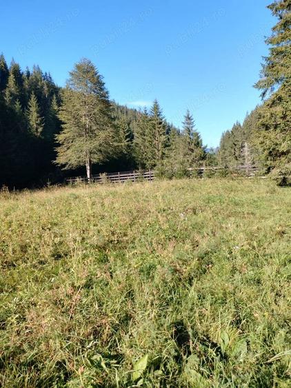 Teren de 3800 mp, în Capu Corbului