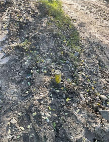 Casă cu 3 camere cu Teren 3596 Mp în Ion Neculce