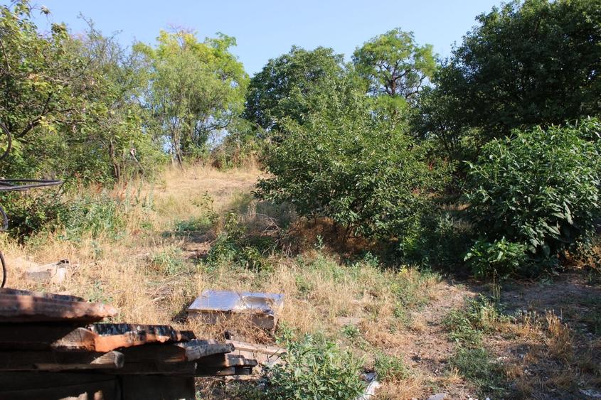 Casă cu 2 camere în Central