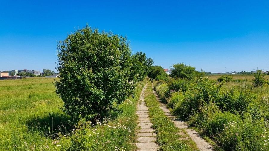 Teren în Bragadiru