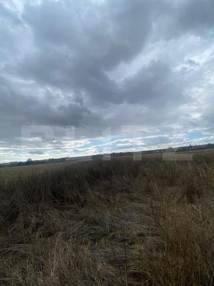 Teren agricol extravilan de 2500 mp, în Lucieni