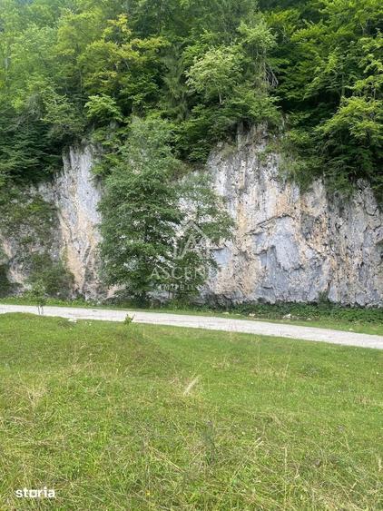 Teren Investi?ie Turistica Dambovicioara Baranga | 4.500 mp - 4
