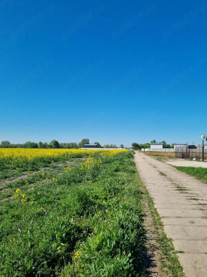 Teren de 5586 mp, în Central