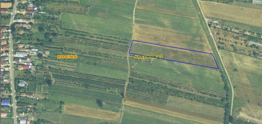 Teren Construcții intravilan de 7545 mp, în Mărăcineni