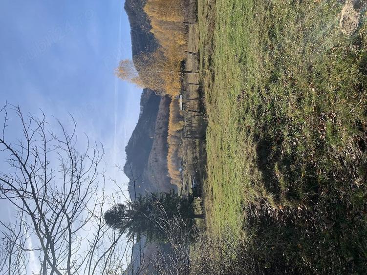 Teren de 1000 mp, în Predeluț