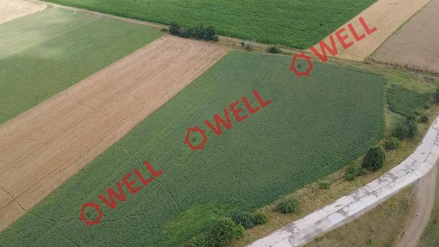 Teren agricol extravilan de 10000 mp, în Arcuș