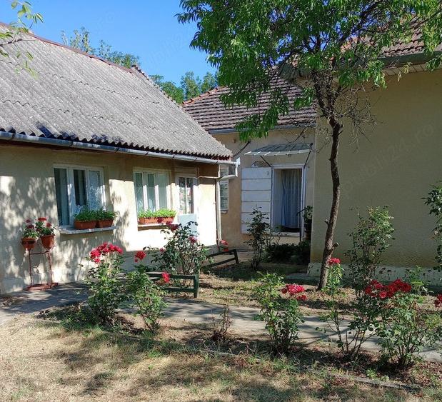 Casă cu 4 camere cu Teren 4000 Mp în Central