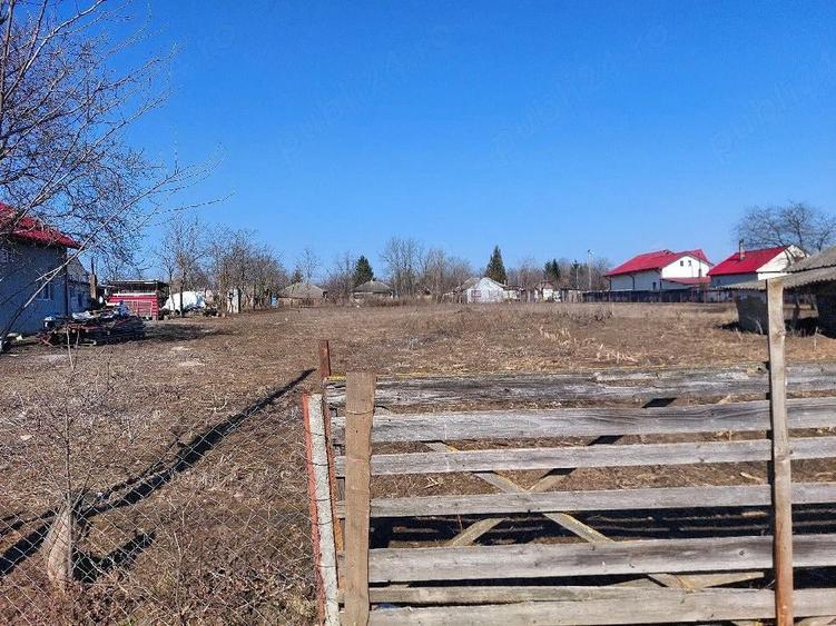 Teren de 3300 mp, în Țigănași