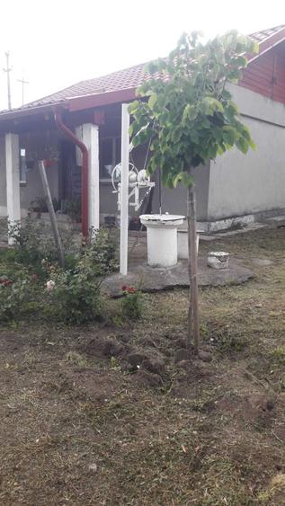 Casă cu 2 camere în Drăgotești