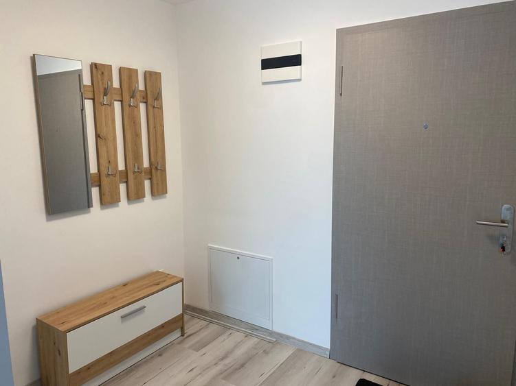 Apartament cu 2 camere decomandat în Dosu Bricii