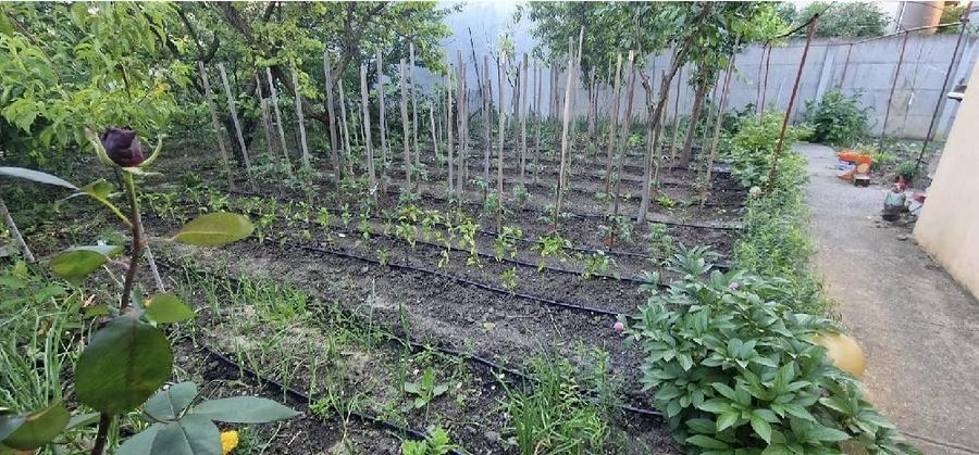 Casă cu Teren 634 Mp în Podgoria