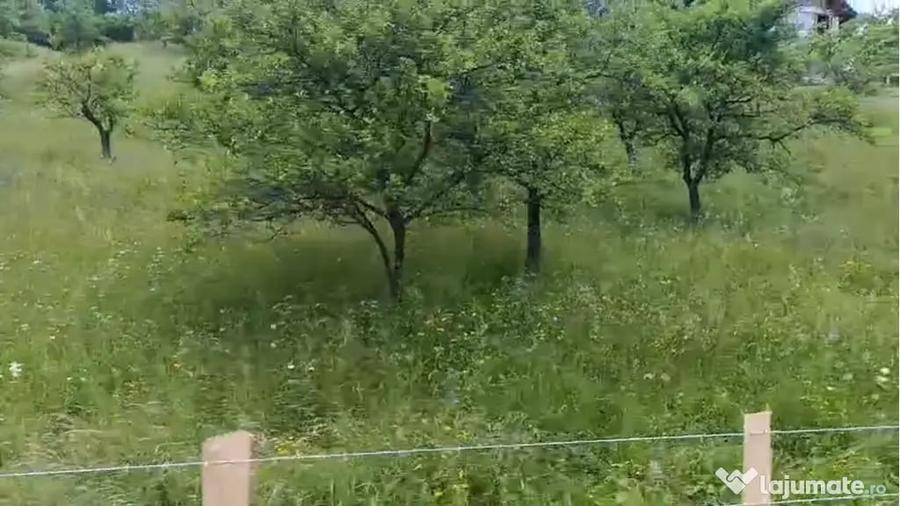 Teren de 13000 mp, în Rucăr