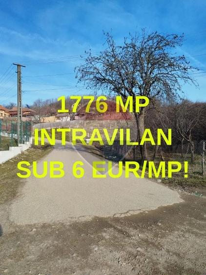 Teren agricol intravilan de 1736 mp, în Chițești