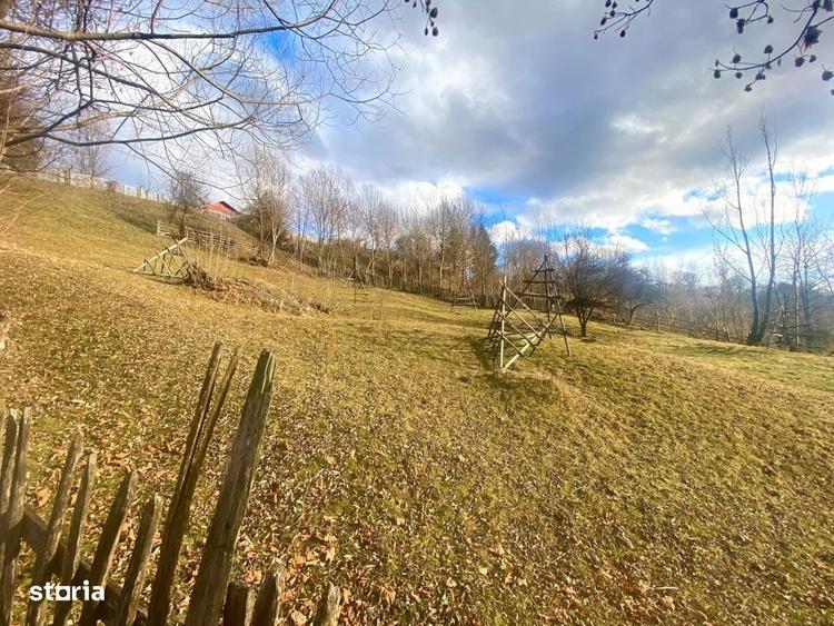Spațiu comercial, în Valea Doftanei