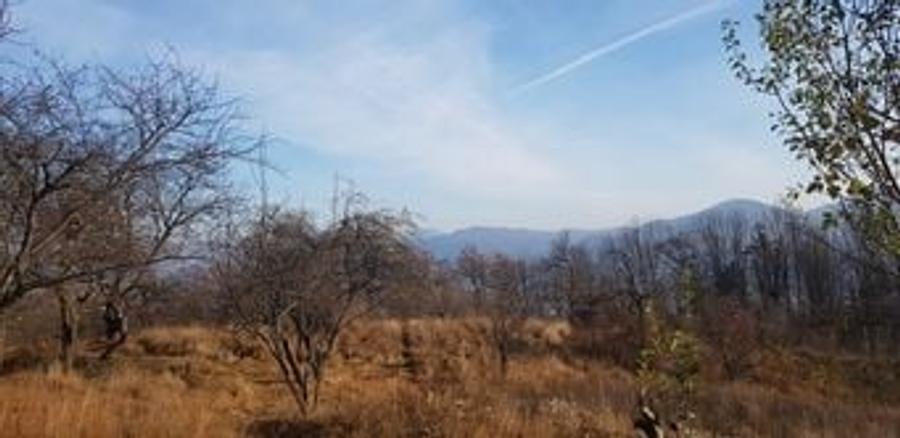 Teren de 4000 mp, în Central