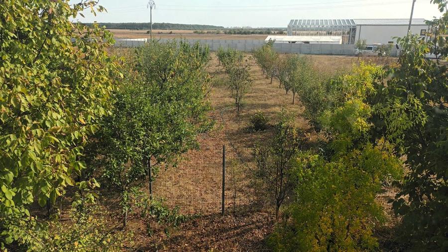 Casă cu 3 camere cu Teren 4250 Mp în Moara Vlăsiei