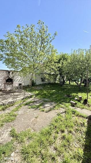 CASA CU TEREN 1.668 MP | BUJORENI - 10