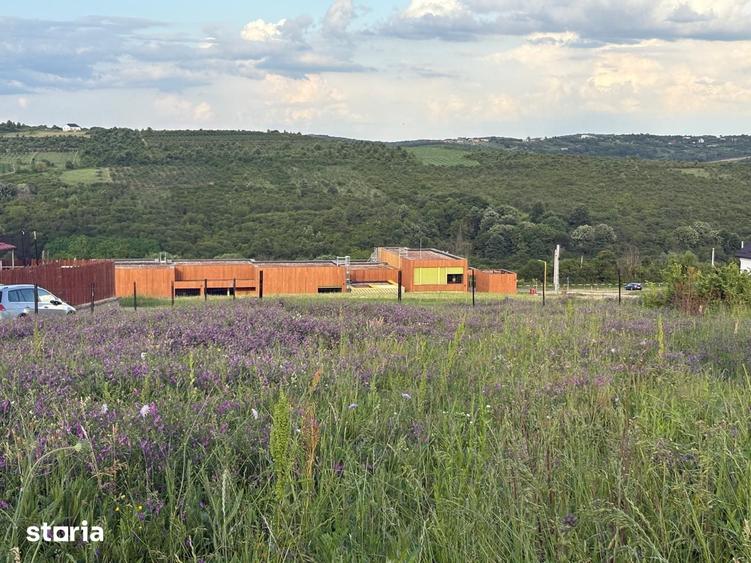 Teren de 981 mp, în Paleu