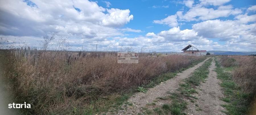 Spațiu comercial, în Nord