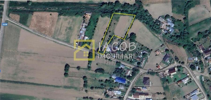 Teren Construcții intravilan de 3630 mp, în Tamași