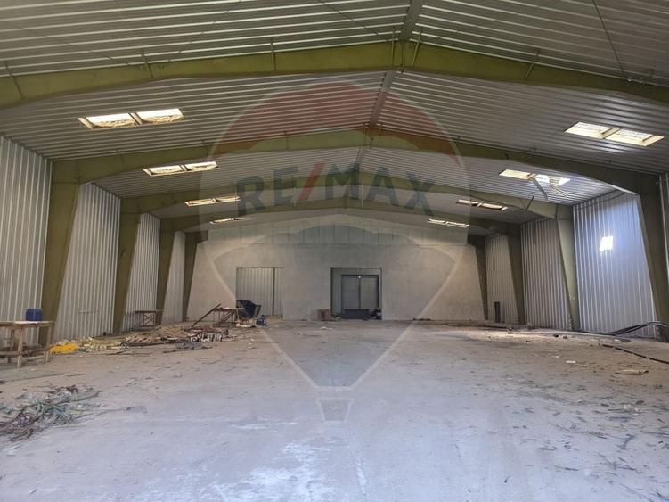 Teren Construcții intravilan de 12460 mp, în Ștefăneștii de Jos