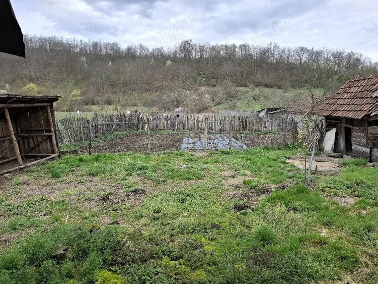 Casă cu 3 camere cu Teren 1677 Mp în Pleșcuța