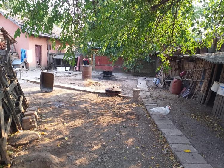 Casă individuală cu 5 camere cu Teren 1088 Mp în Lipovu
