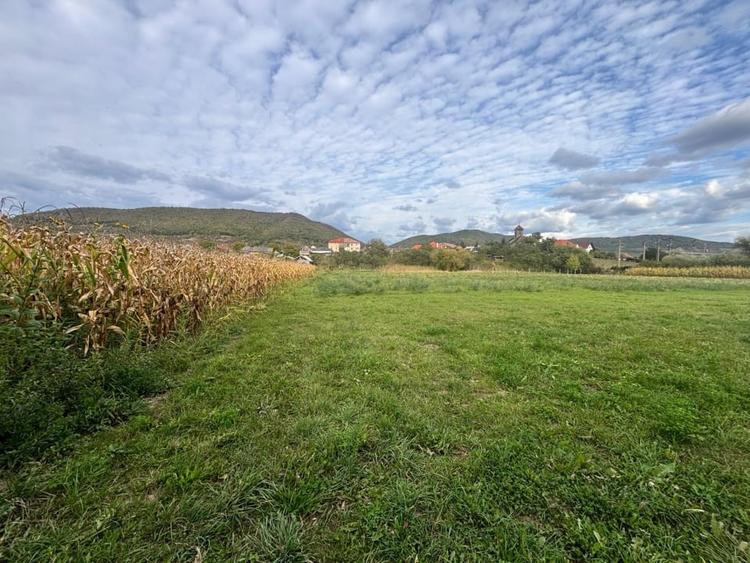 Teren Construcții intravilan de 2500 mp, în Șieu-Măgheruș