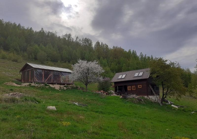 Casă individuală cu 4 camere cu Teren 8000 Mp în Plopi