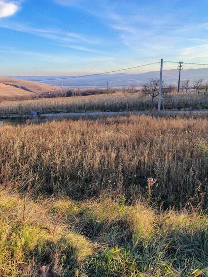 Teren de 1000 mp, în Ciurila