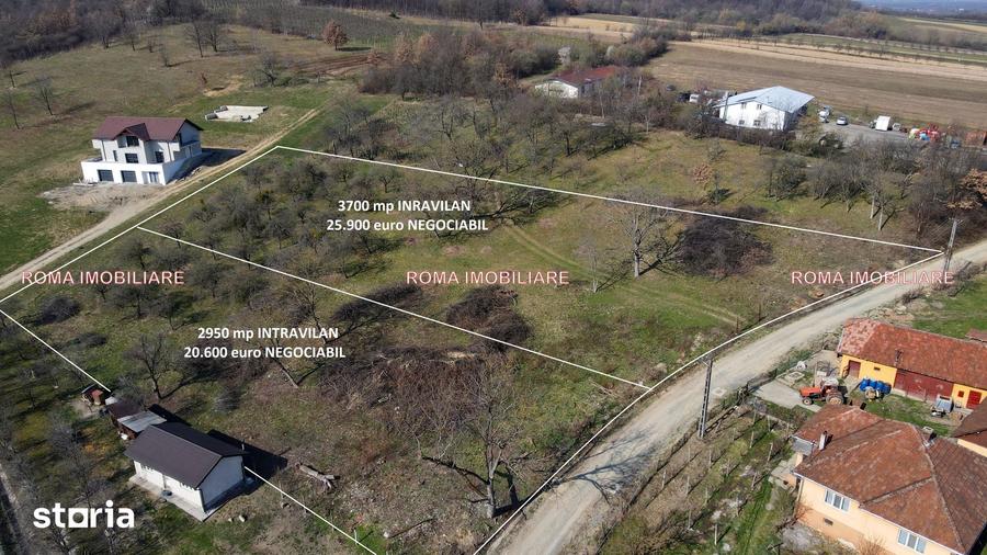 Teren de 6650 mp, în Remetea Chioarului