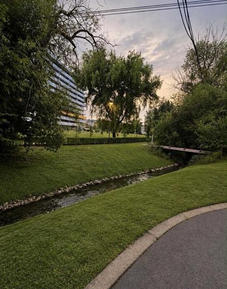Apartament cu 3 camere decomandat în Dosu Bricii