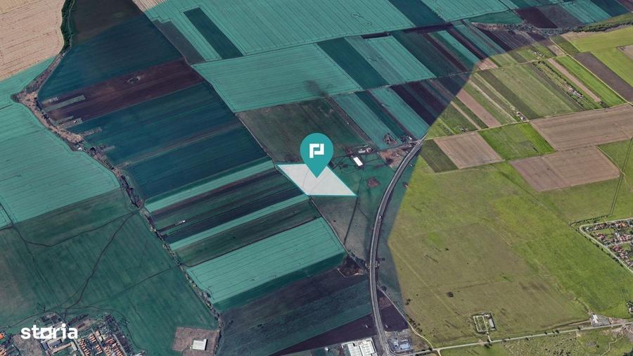 Teren de 41.600mp la Noua Centura de Est, Arad - 3