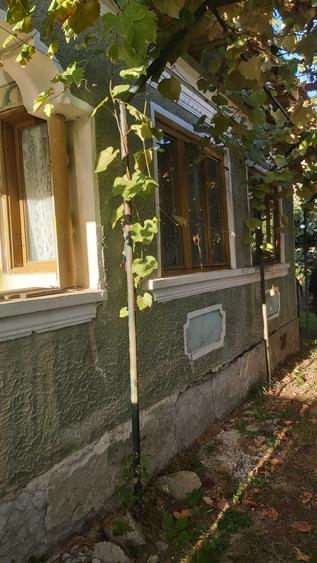 Casă cu 3 camere în Runcu