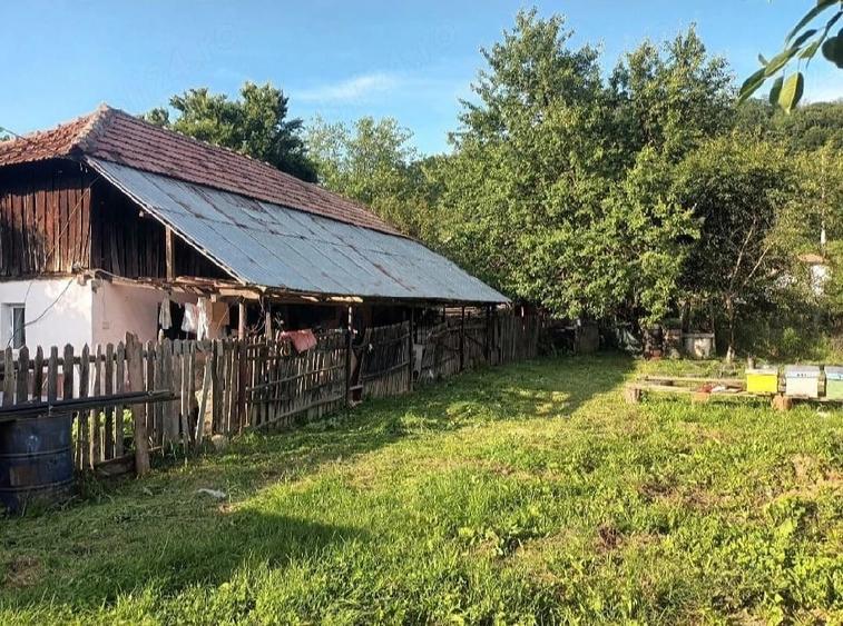 Casă cu Teren 2000 Mp în Dăești