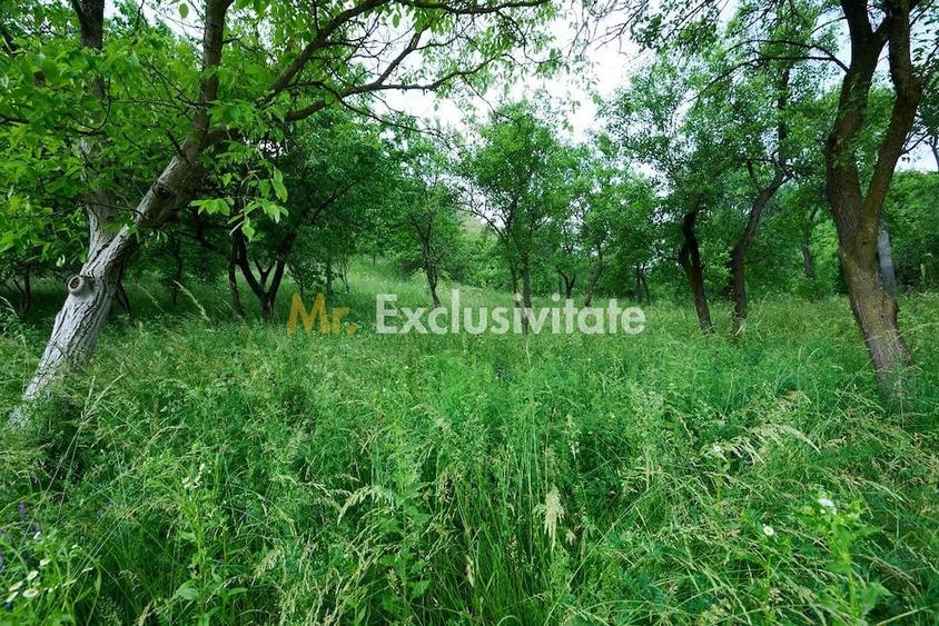 Casă cu 3 camere cu Teren 4696 Mp în Central