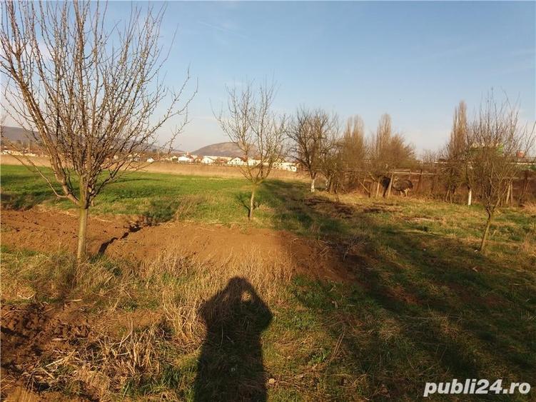 Teren de 18000 mp, în Central