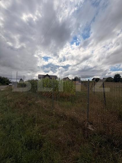 Teren intravilan, 1000 mp, front 50 ml, zona Bunesti - 3