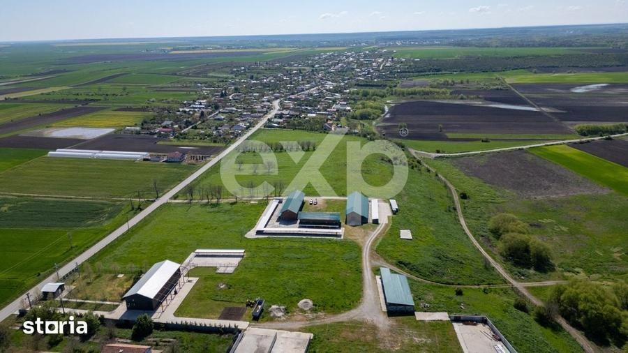 Teren de 105000 mp, în Singureni