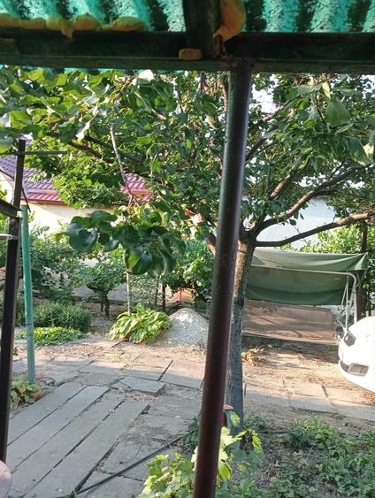 casa checea-30 km de Timisoara - 2