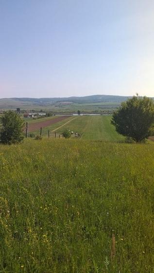 Teren Construcții extravilan de 18000 mp, în Feldioara