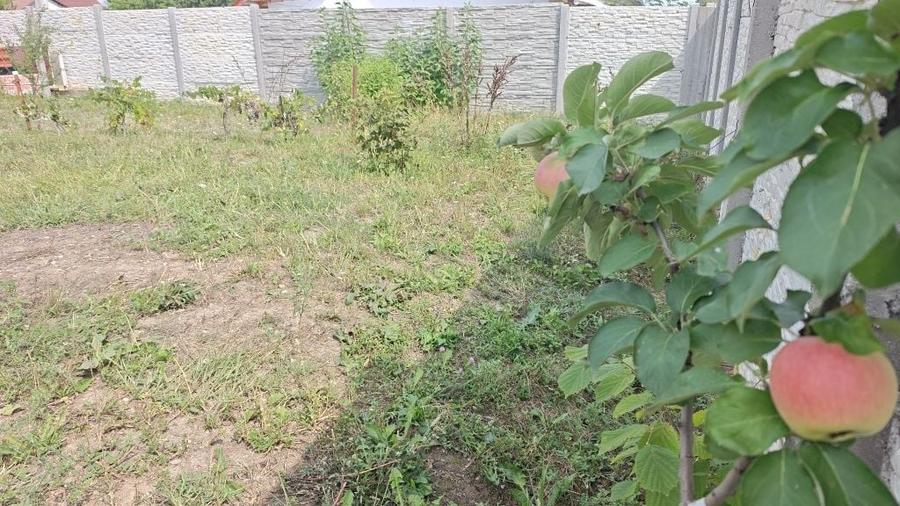 Teren de 300 mp, în Smeura
