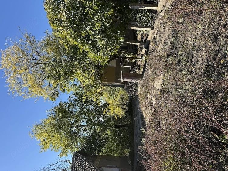 Casă cu Teren 1800 Mp în Giurgița
