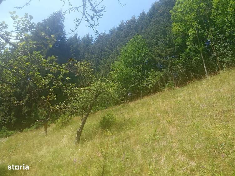 Casă cu 2 camere în Răchițele
