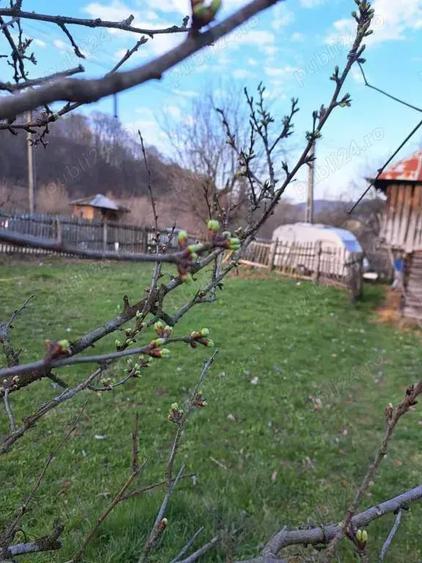 Teren de 800 mp, în Corbi