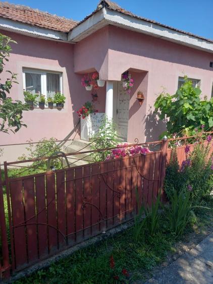 Vand Casa sat Greci comuna Osica de Sus - 2